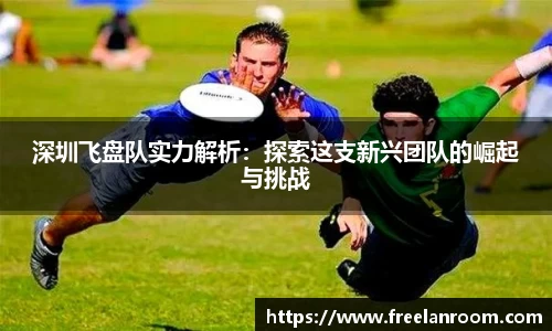 深圳飞盘队实力解析：探索这支新兴团队的崛起与挑战